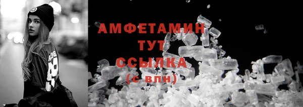 индика Нея