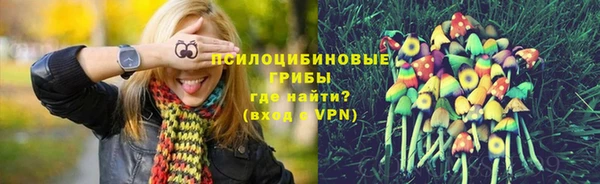 марки nbome Гусев