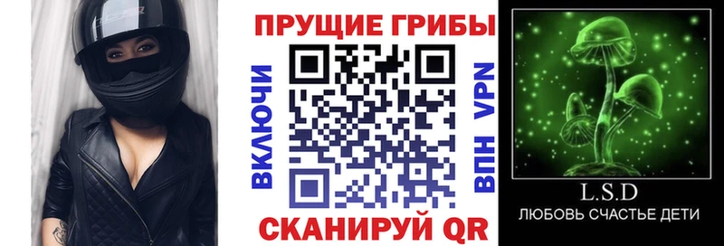 Псилоцибиновые грибы Psilocybine cubensis  Октябрьск 
